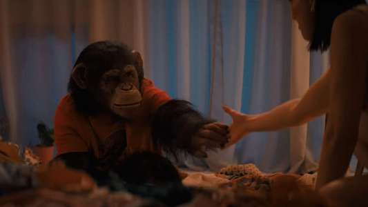 Primate - Backdrops