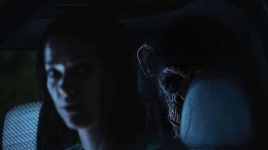 Primate - Backdrops