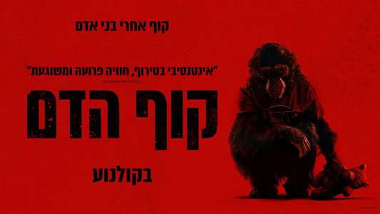 Primate - Backdrops