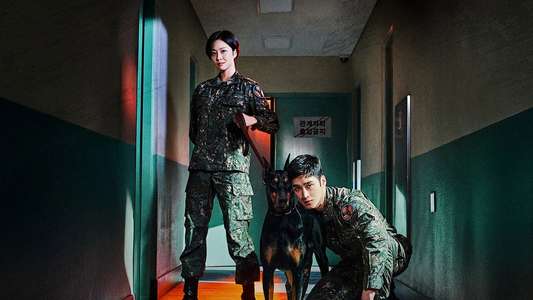 Military Prosecutor Doberman - Backdrops