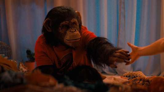 Primate - Backdrops