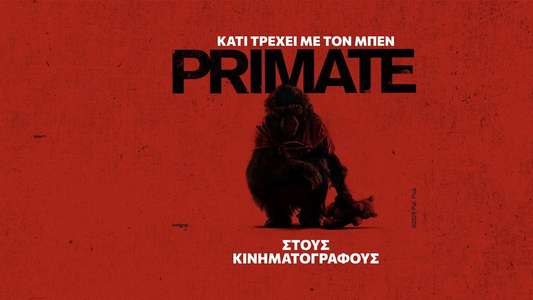 Primate - Backdrops