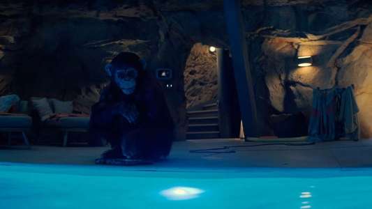 Primate - Backdrops