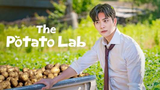 The Potato Lab - Backdrops