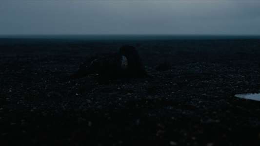 The Odyssey - Backdrops