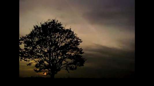 Let the Summer Never Come Again - Backdrops