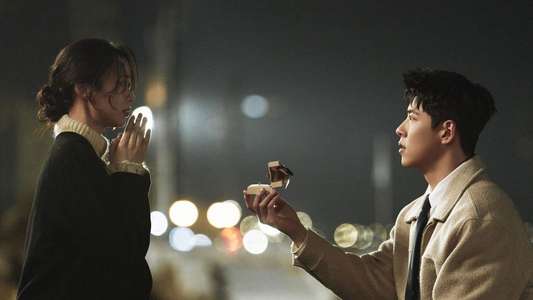 Can This Love Be Translated? - Backdrops