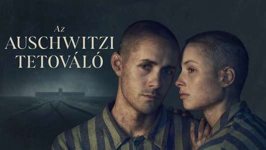 The Tattooist of Auschwitz - Backdrops