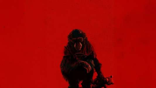 Primate - Backdrops