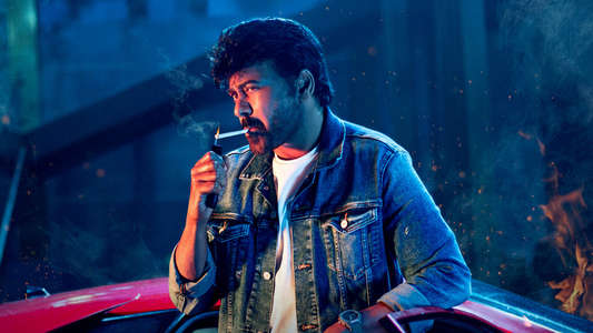 Mana Shankara Varaprasad Garu - Backdrops