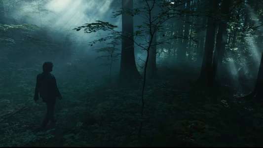 Return to Silent Hill - Backdrops