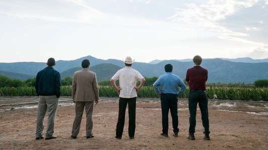 Narcos: Mexico - Backdrops