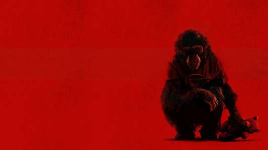 Primate - Backdrops