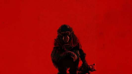 Primate - Backdrops