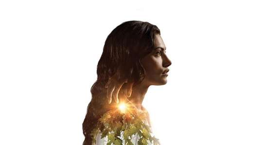 Bloom - Backdrops