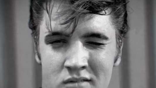 EPiC: Elvis Presley in Concert - Backdrops