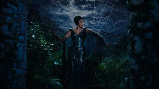 Kiss of the Spider Woman - Backdrops