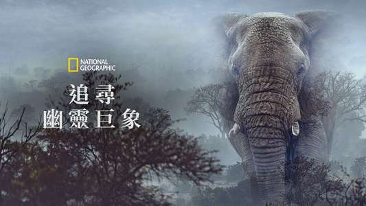 Ghost Elephants - Backdrops