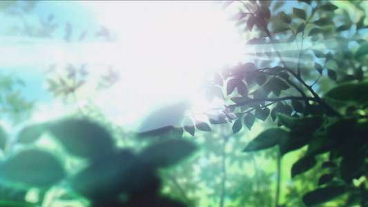 Frieren: Beyond Journey's End - Backdrops