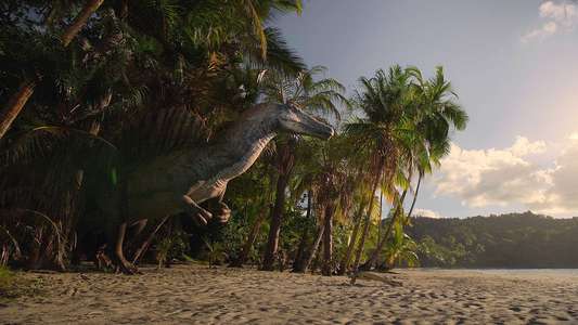 The Dinosaurs - Backdrops