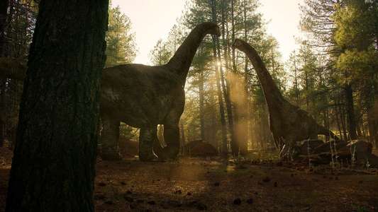 The Dinosaurs - Backdrops