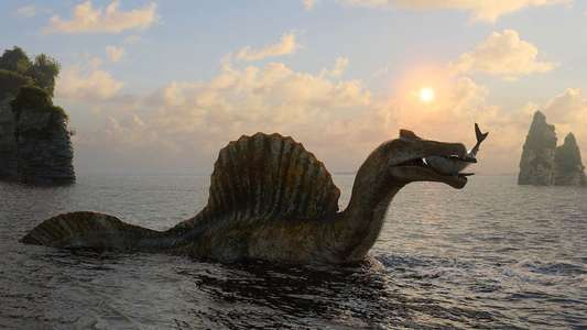 The Dinosaurs - Backdrops