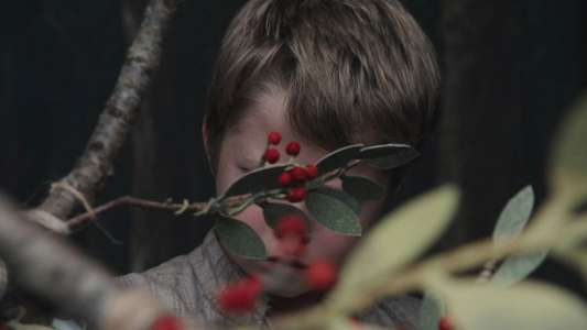 Hamnet - Backdrops