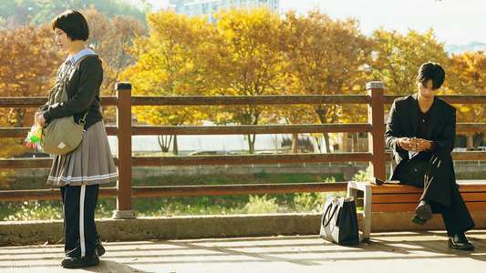 Absolute Value of Romance - Backdrops