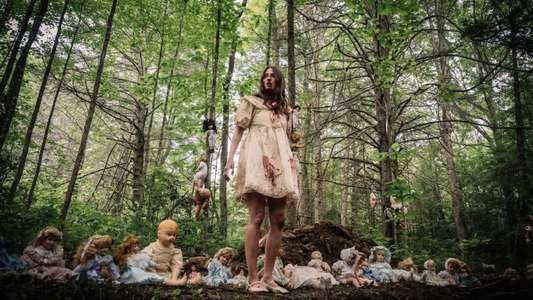 Dolly - Backdrops