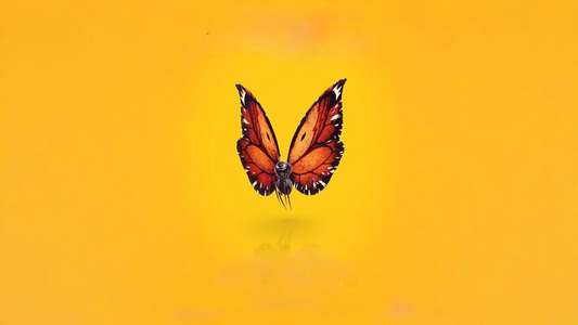 Hoppers - Backdrops