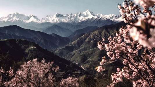 The Fable - Backdrops