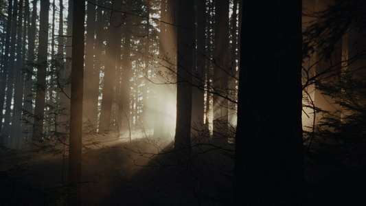 Keeper - Backdrops