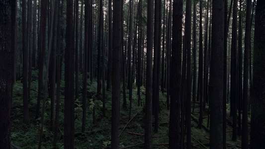 Keeper - Backdrops
