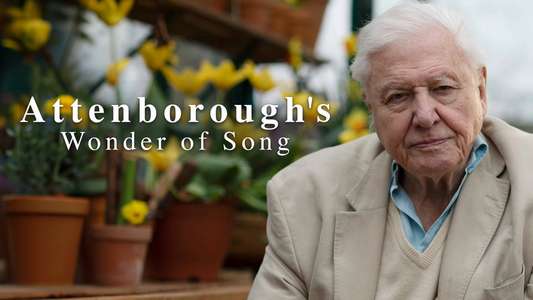 Attenborough's Wonder of Song - Backdrops