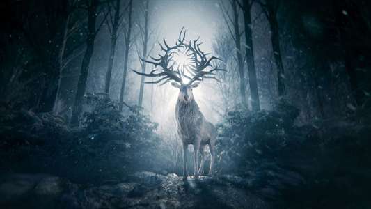 Shadow and Bone - The Afterparty - Backdrops
