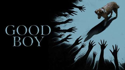 Good Boy - Backdrops