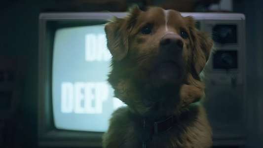Good Boy - Backdrops
