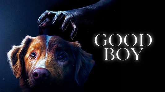 Good Boy - Backdrops