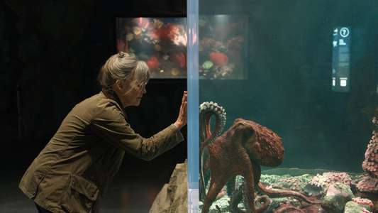 Remarkably Bright Creatures - Backdrops