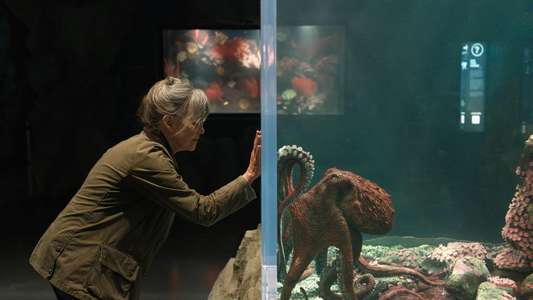 Remarkably Bright Creatures - Backdrops