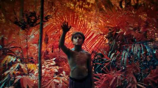 Lord of the Flies - Backdrops