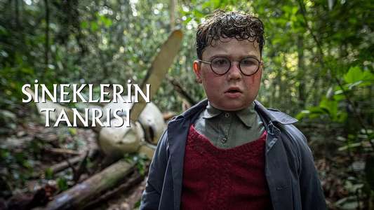 Lord of the Flies - Backdrops