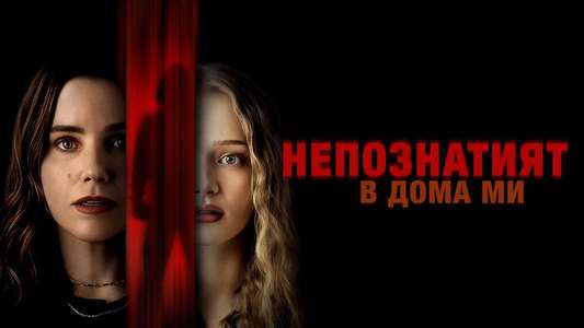 The Stranger in My Home - Backdrops