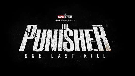 The Punisher: One Last Kill - Backdrops