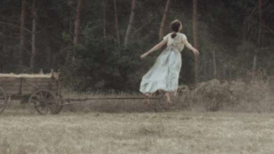 Sound of Falling - Backdrops