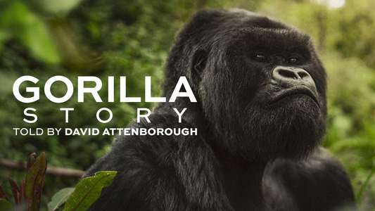 A Gorilla Story: Told by David Attenborough - Backdrops