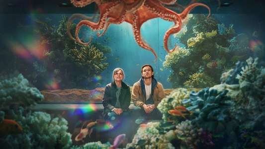 Remarkably Bright Creatures - Backdrops
