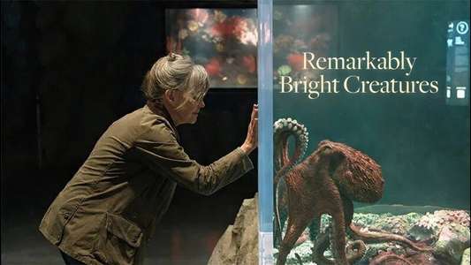 Remarkably Bright Creatures - Backdrops