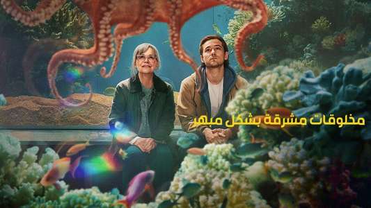 Remarkably Bright Creatures - Backdrops