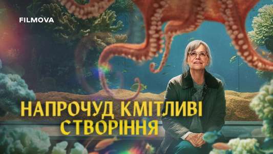 Remarkably Bright Creatures - Backdrops